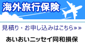 あいおいニッセイ同和損保のeとらべる海外旅行保険